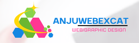 AnjuSri Portfolio